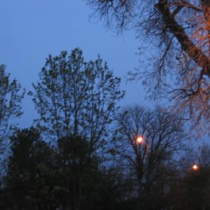 Night Silence Serenade