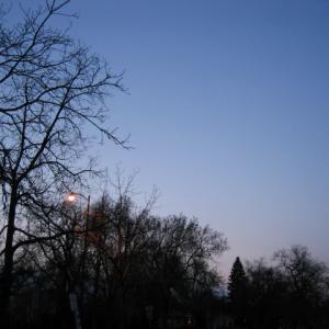 Ami Moonlight Ecstasy