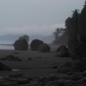 Rexsy Atomic Insights