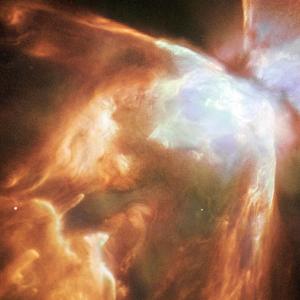 Rexsy Starlights Serenade